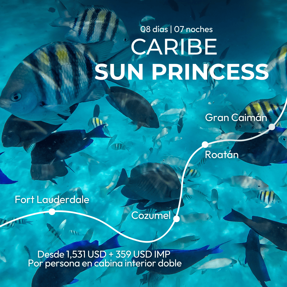 Anuncio de crucero Caribe Sun Princess 2026. Consulta itinerario, fechas y costos por WhatsApp.